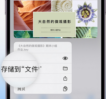 武江apple维修中心分享iPhone文件应用中存储和找到下载文件