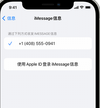 武江apple维修iPhone上无法正常发送iMessage信息 