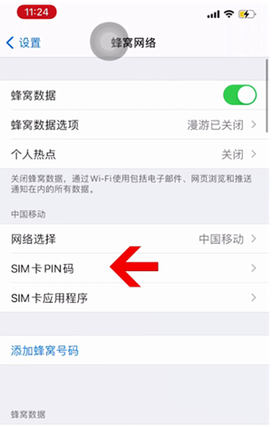 武江苹果14维修网分享如何给iPhone14的SIM卡设置密码 