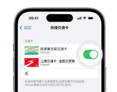 武江apple维修点分享iPhone上更换Apple Pay快捷交通卡手绘卡面 