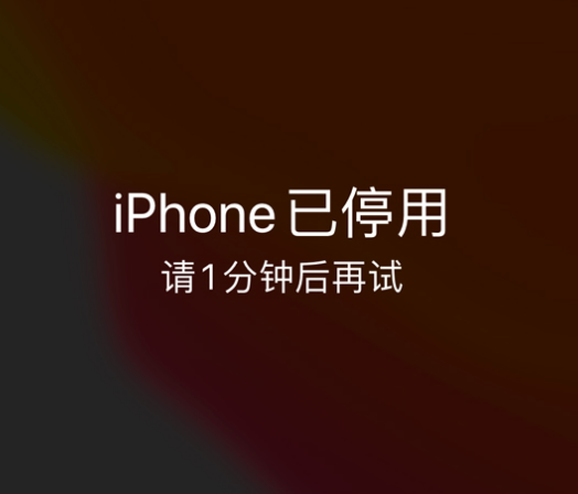 武江苹果手机维修分享:iPhone 显示“不可用”或“已停用”怎么办？还能保留数据吗？ 