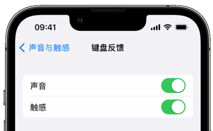 武江苹果手机维修分享iPhone 14触感键盘使用方法 