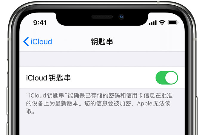 武江苹果手机维修分享在 iPhone 上开启 iCloud 钥匙串之后会储存哪些信息 