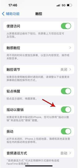 武江苹果手机维修分享iPhone手机如何设置摇一摇删除文字 