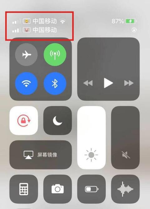 武江苹果手机维修分享为 iPhone 12 双卡设置标签 